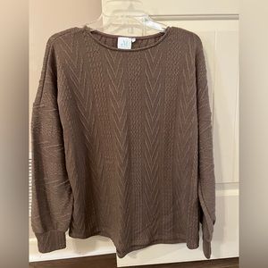 The Mint Mocha colored sweater/ never worn